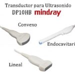 TRANSDUCTOR LINEAL MULTIFRECUENCIA DE 5 A 10 MHZ MINDRAY  75L38EB