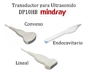 TRANSDUCTOR LINEAL MULTIFRECUENCIA DE 5 A 10 MHZ MINDRAY  75L38EB